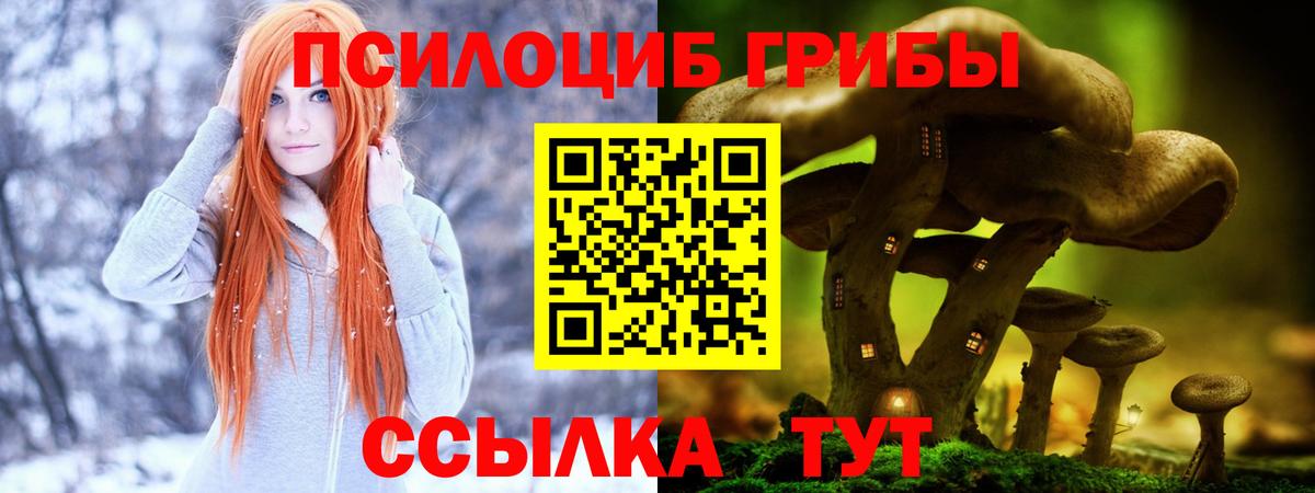 Галлюциногенные грибы Psilocybe Чистополь